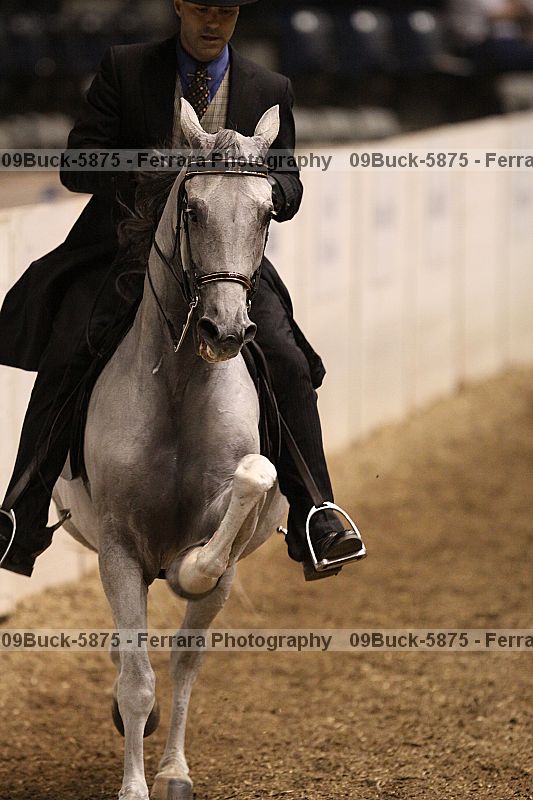 Proof 09buck-5875