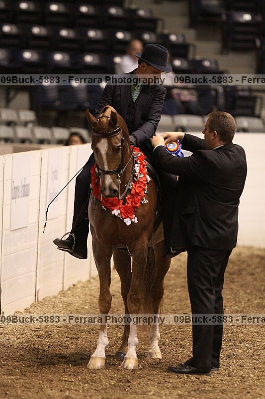 Proof 09buck-5883