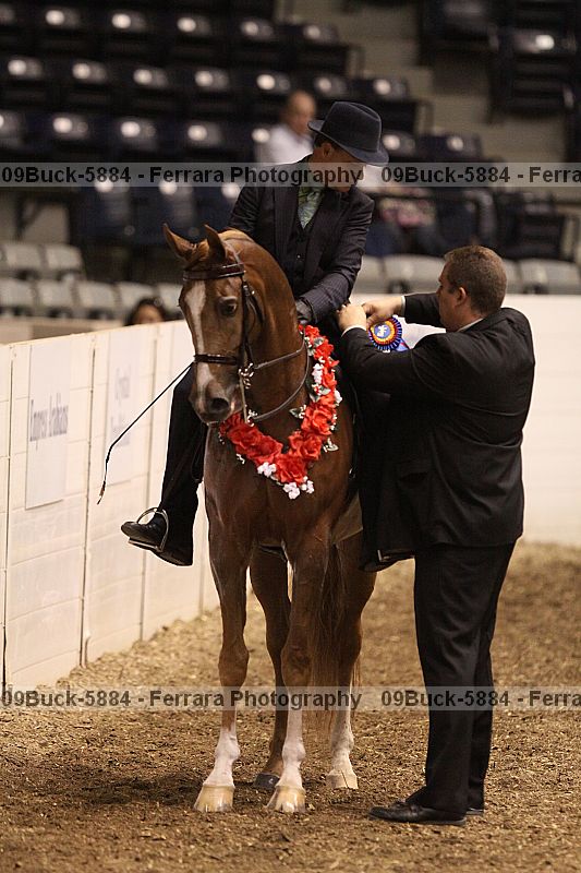Proof 09buck-5884