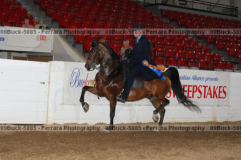 Proof 09buck-5885