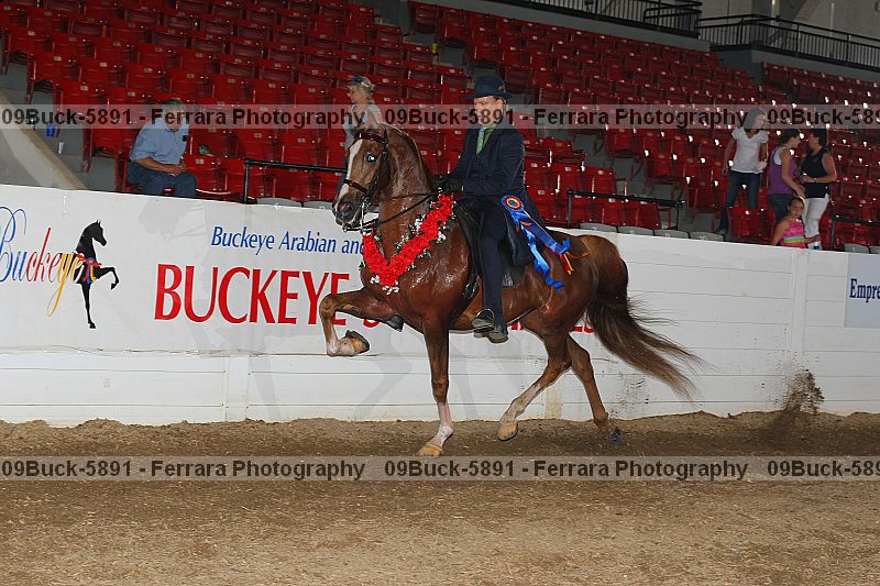 Proof 09buck-5891