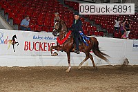 09buck-5891 proof