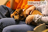 09buck-0258 proof