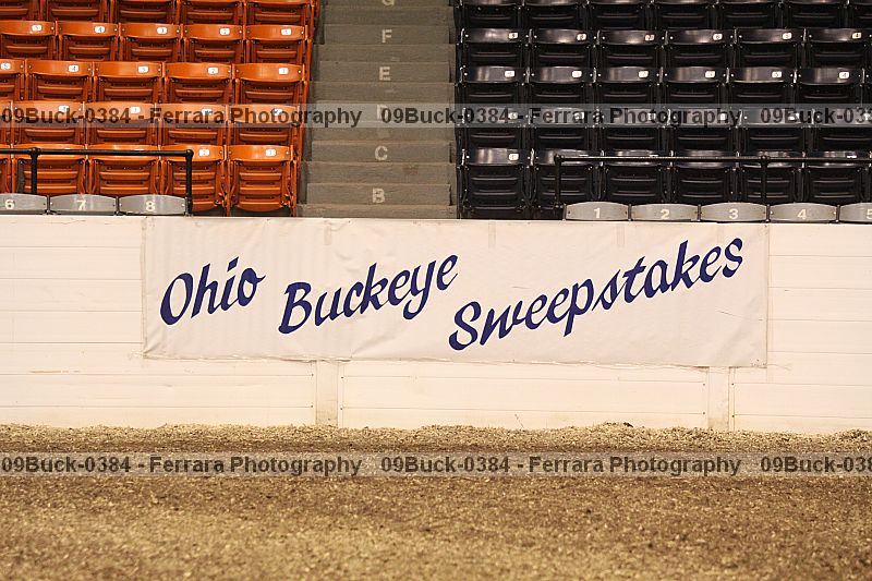 Proof 09buck-0384
