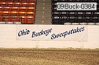 09buck-0384 proof