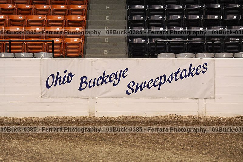Proof 09buck-0385