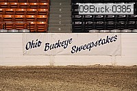 09buck-0385 proof
