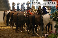 09buck-3036 proof