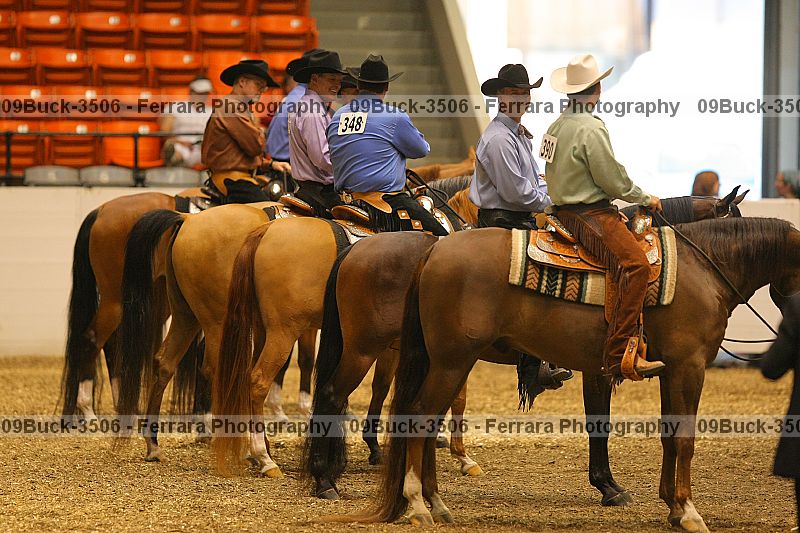 Proof 09buck-3506