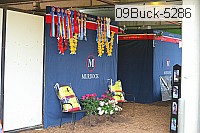 09buck-5286 proof