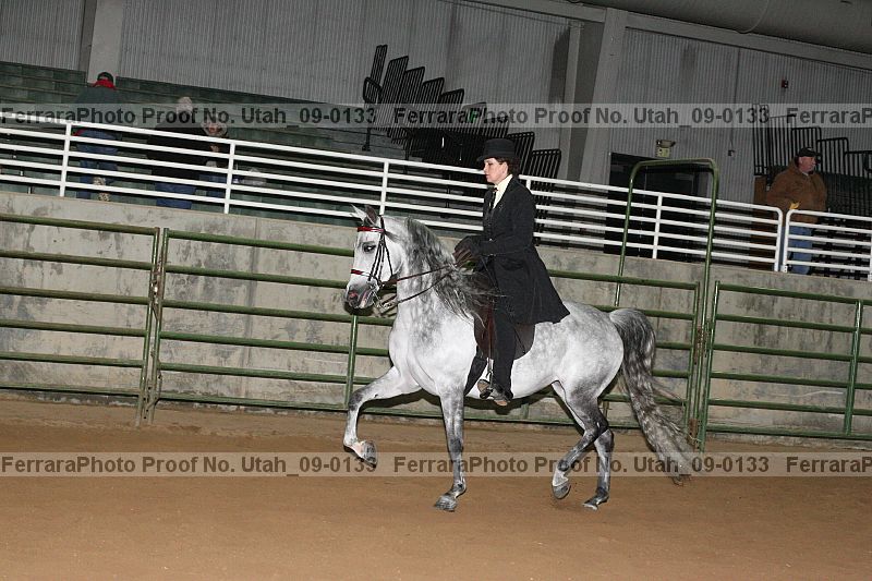 Proof utah_09-0133