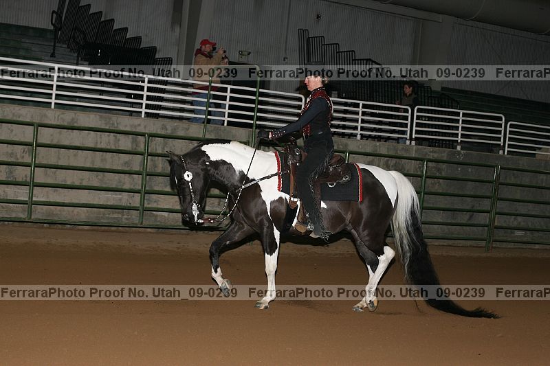 Proof utah_09-0239