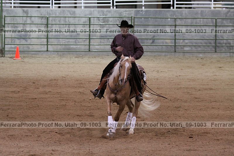 Proof utah_09-1003