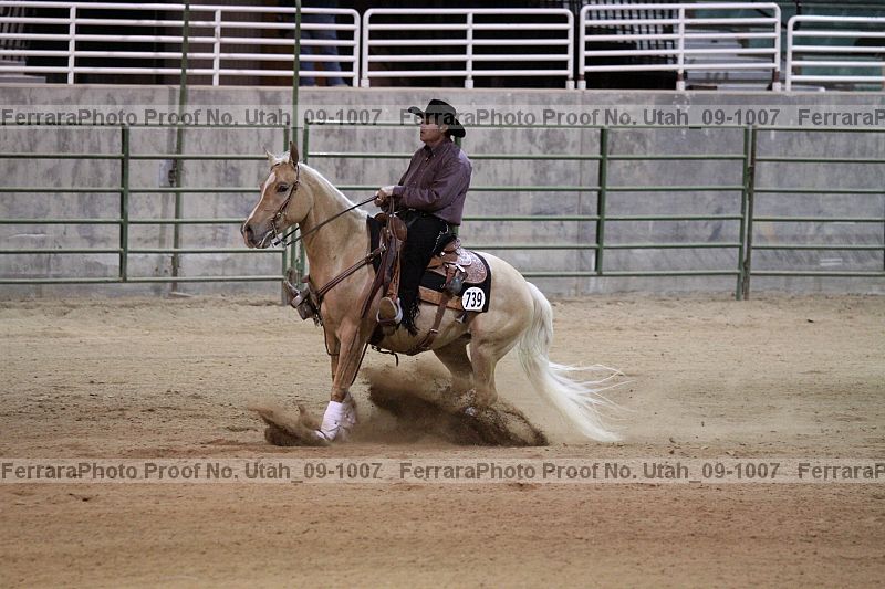 Proof utah_09-1007