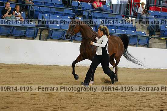 Proof 09r14-0195