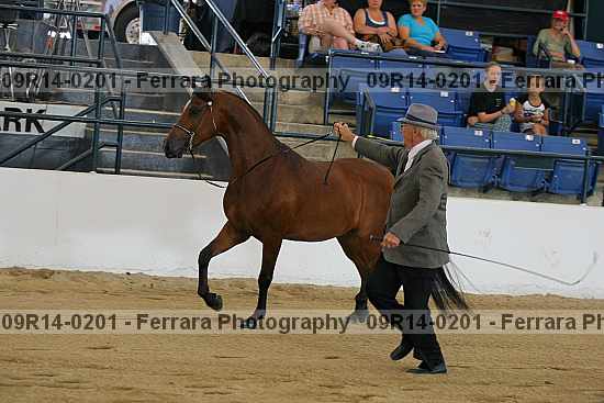 Proof 09r14-0201