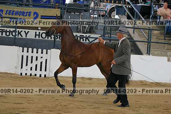 Proof 09r14-0202
