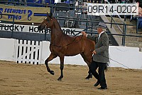 09r14-0202 proof