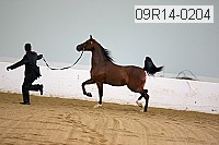09r14-0204 proof