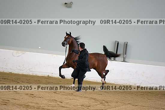 Proof 09r14-0205