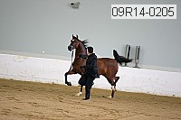 09r14-0205 proof