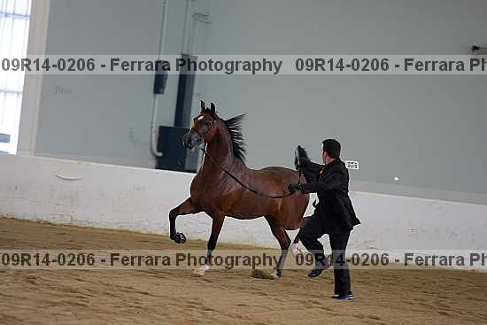 Proof 09r14-0206