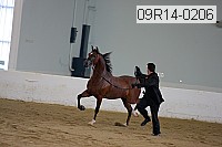 09r14-0206 proof