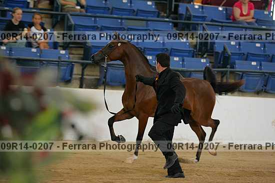 Proof 09r14-0207