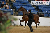 09r14-0207 proof