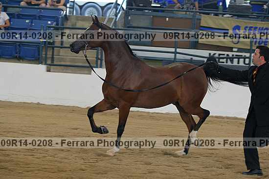 Proof 09r14-0208