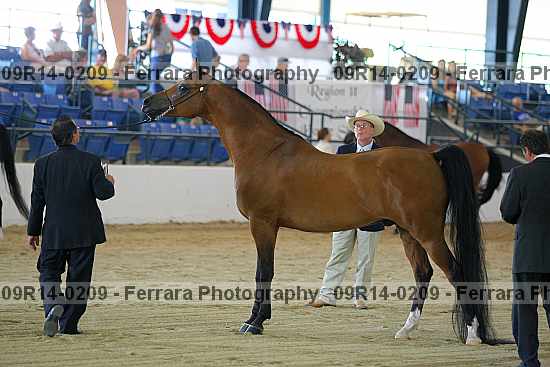 Proof 09r14-0209