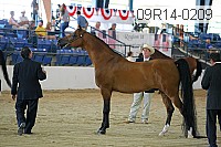 09r14-0209 proof
