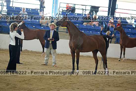 Proof 09r14-0222