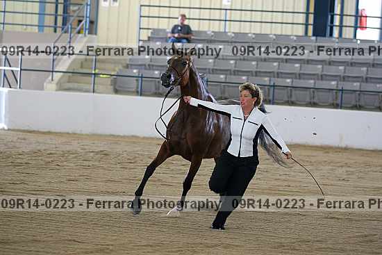 Proof 09r14-0223