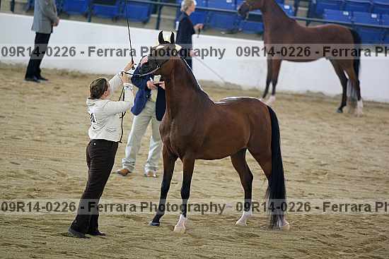 Proof 09r14-0226