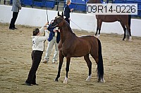 09r14-0226 proof