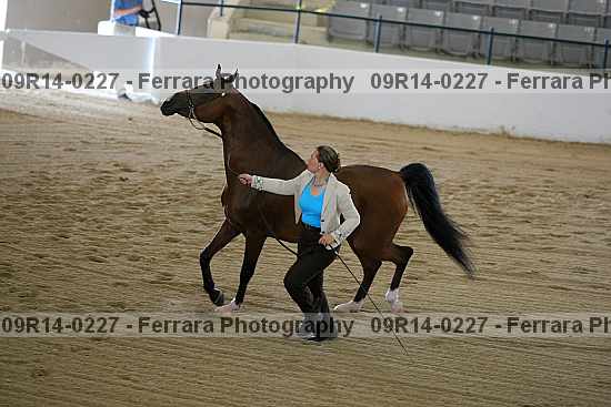 Proof 09r14-0227