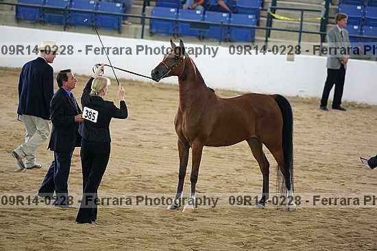 Proof 09r14-0228