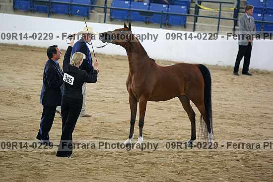 Proof 09r14-0229