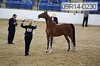 09r14-0230 proof