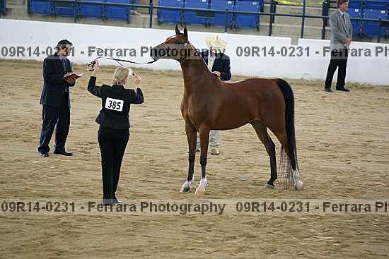 Proof 09r14-0231