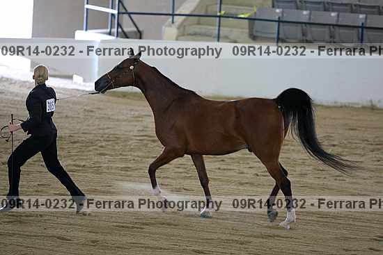 Proof 09r14-0232