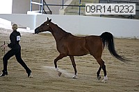 09r14-0232 proof