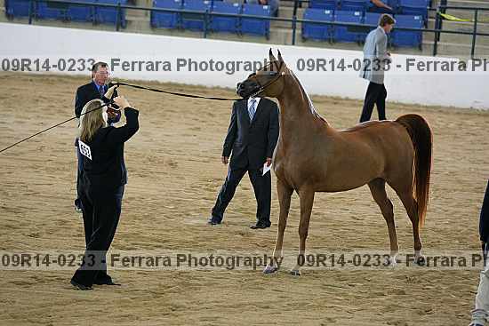 Proof 09r14-0233