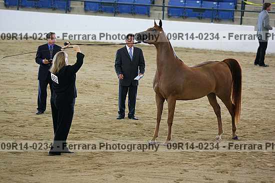 Proof 09r14-0234