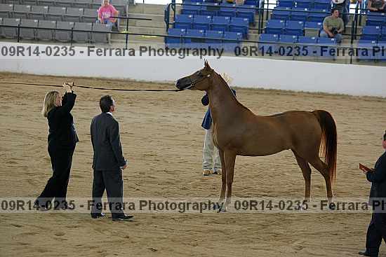 Proof 09r14-0235