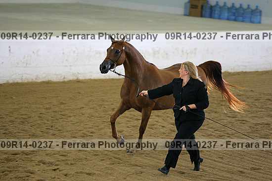 Proof 09r14-0237