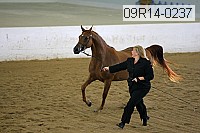 09r14-0237 proof