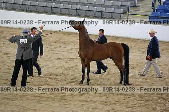 Proof 09r14-0238