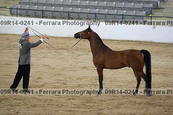 Proof 09r14-0241